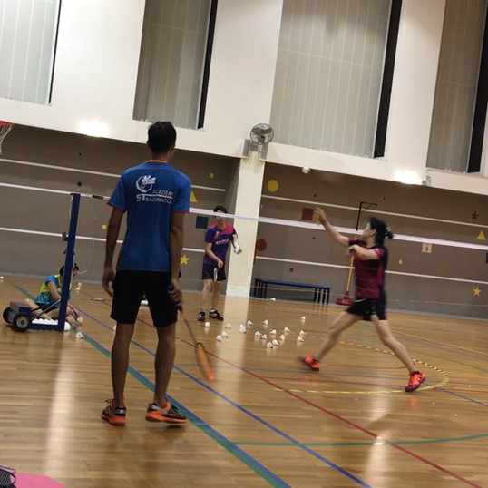 Corporate Badminton Lessons Overview