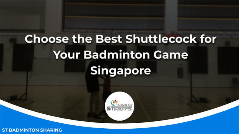 Choose the Best Shuttlecock for Your Badminton Game Malaysia